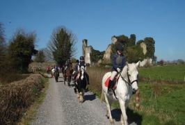 Clare – Clonlara Equestrian Centre