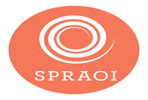 'Spraoi International Street Festival Waterford'